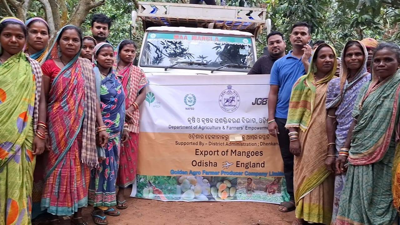 ବିଦେଶ ମାଟିରେ ମହକୁଛି ଢେଙ୍କାନାଳ ଆମ୍ବ