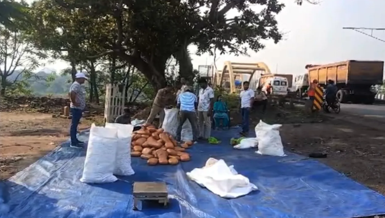 ବିଜୁ ଏକ୍ସପ୍ରେସୱେରେ ଧରାପଡ଼ିଲା ଛତିଶଗଡ଼ ଯାଉଥିବା ଗଞ୍ଜେଇ 
