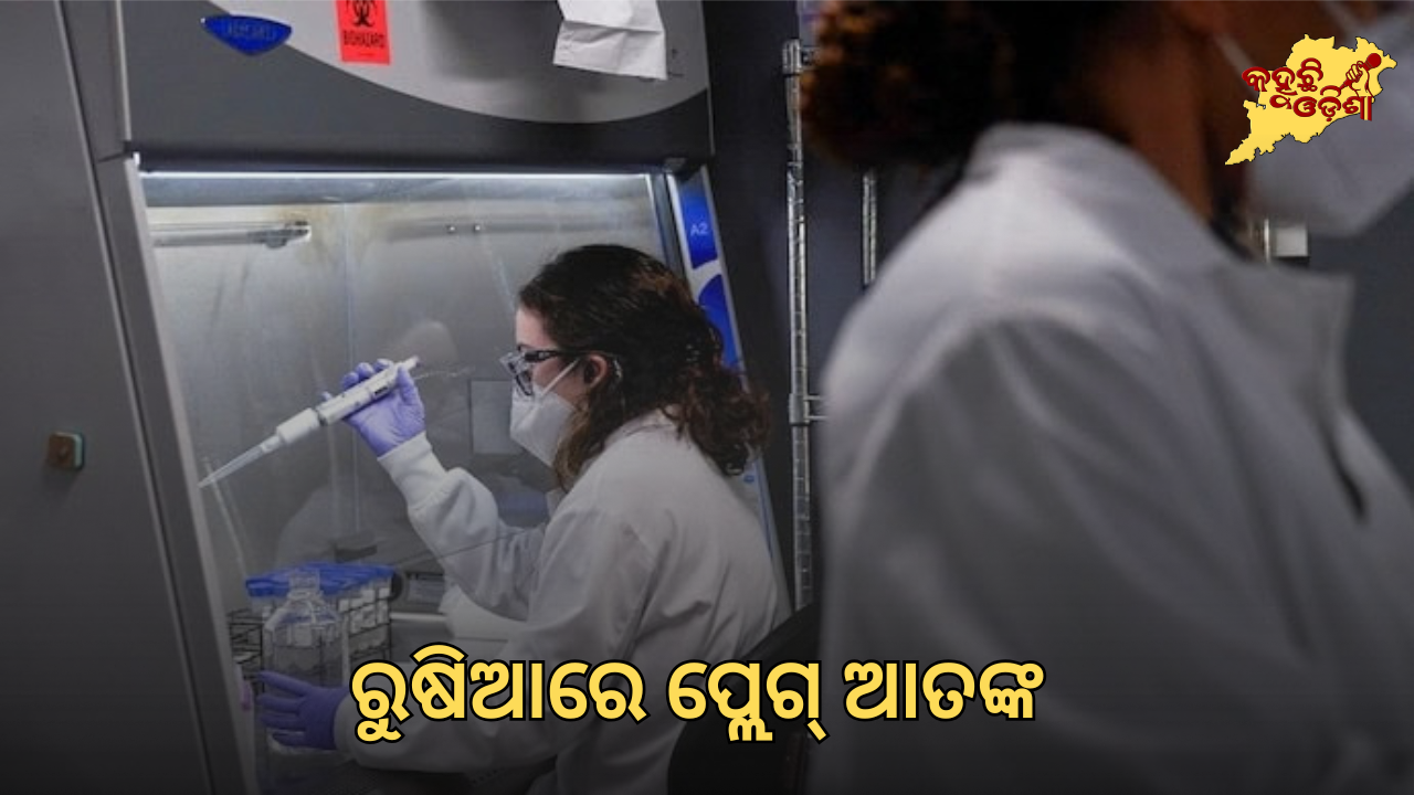 ରୁଷିଆରେ ପ୍ଲେଗ୍ ଆତଙ୍କ: ଗବେଷକଙ୍କ ମୃତ୍ୟୁ ପରେ ପ୍ରାୟ ୨୦୦ ଜଣ ନଜରବନ୍ଦୀ, ବଢ଼ିଲା ଲ୍ୟାବ୍ ଏକ୍ସପୋଜର ଚିନ୍ତା